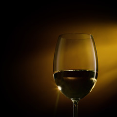 Glass filled with white wine on a gradient background. Close-up studio shot.