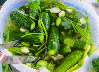 Lightly-salted cucumbers in a bowl along with garlic and dill.