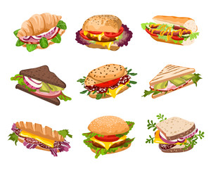Fototapeta vector sandwiches illustration obraz