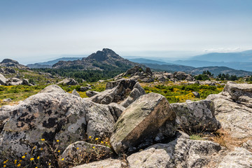 Fototapeta premium Landscape Monte Limbara Sardinien