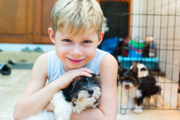 caucasian boy embraces puppy Yorkshire terrier