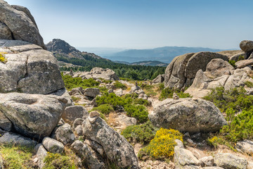 Fototapeta na wymiar Landscape Monte Limbara Sardinien