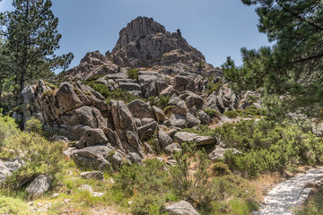 Landscape Monte Limbara Sardinien