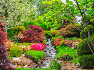 Fototapety  The beautiful garden in a spring season in Japanese style.