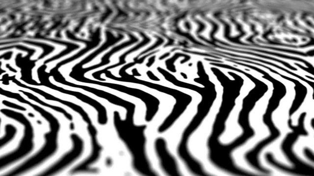 Black and white zebra pattern animation