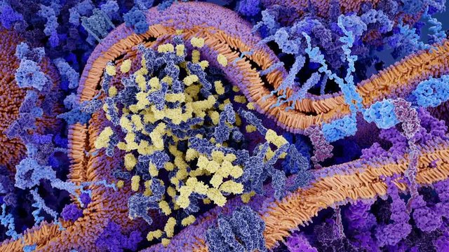 CAR T Cell Cancer Immunotherapy, Animation