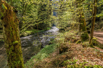 National park Elbsandsteingebirge Germany