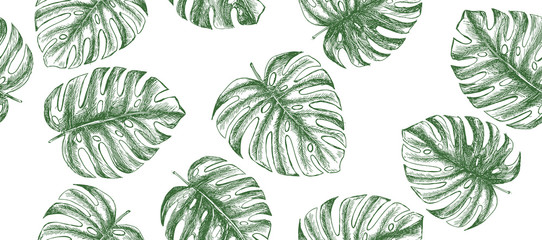 Tropical leaves hand drawn  © Tatiana