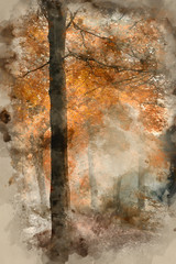 Watercolor painting of Stunning vibrant evocative Autumn Fall foggy forest landscape