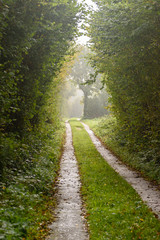 Obraz premium Autum landscape northern germany