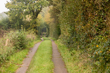 Autum landscape northern germany
