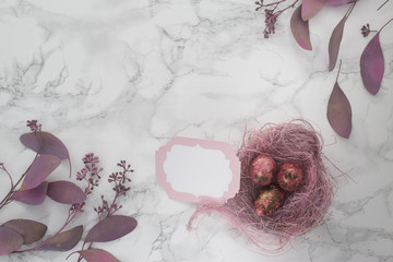 easter pink eggs in a nest with spring flowers on a marble background. Place for inscription. top view