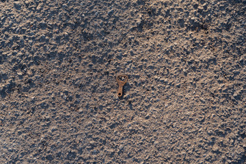 bottle opener in asphalt