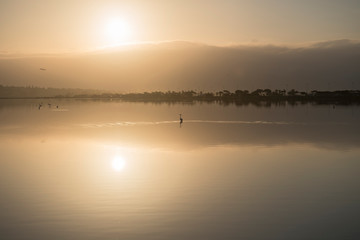 Alba sull'acqua
