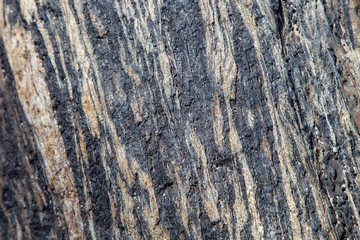 Natural stone texture. Beautiful marble background. Colorful stone texture detail. Interesting natural pattern.