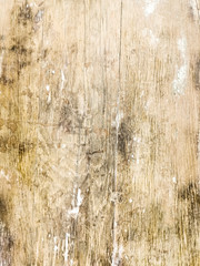 wood grungy background with space for your design