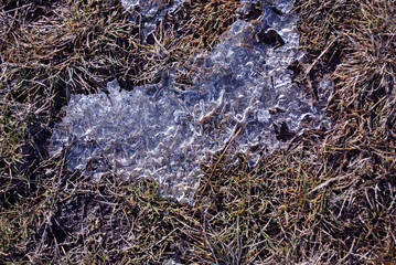 Melting ice close up detail on spring grass, natural background top view