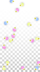 Vector Realistic Colorful Petals Falling on Transparent Background.  Spring Romantic Flowers Illustration. Flying Petals. Sakura Spa Design. Blossom Confetti. Design Elements for Wedding Decoration.