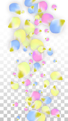 Vector Realistic Colorful Petals Falling on Transparent Background.  Spring Romantic Flowers Illustration. Flying Petals. Sakura Spa Design. Blossom Confetti. Design Elements for Wedding Decoration.