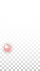 Vector Spring or Summer Sale Background with Petals and Percent for Template Design. Good for Special Hot Holiday Discount Offer, Black Friday, Fashion Promotion Action. Romantic Sakura Illustration