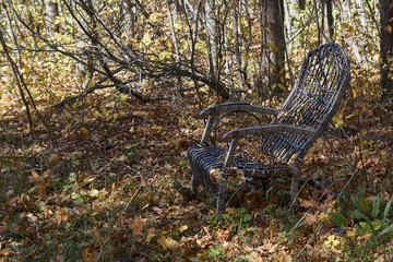 The chair in the autumn garden  with yellow leaves .