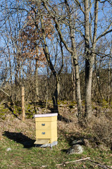 Yellow beehive in a meadow