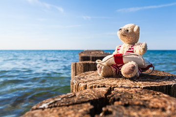 Summer Retreat at Sea / Teddy bear enjoy sunny day in nostalgic bathing suit with life buoy, sitting on pier of wooden breakwater at seaside (copy space)