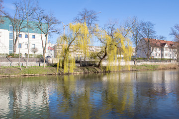 Fototapeta na wymiar Spring embankment of the river Oder on a sunny day, Poland