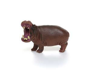 Toy hippopotamus  isolated on white