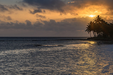 Tropical Sunset with Palm Trees in Silhouette