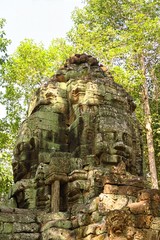 Fototapeta premium Visages sculptés dans la forêt Angkor 