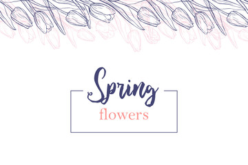 Horizontal background template with hand drawn tulips and text. Banner with spring flowers on white background. Top view elements in pale tender colors.