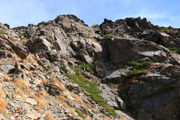 Fototapeta na wymiar 南アルプス塩見岳山頂への道 　山頂直下から頂上を望む