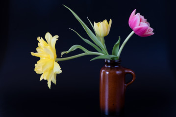 Tulpen
