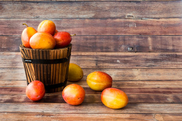Victoria Plums in Wooden Plant Pot on Brown Wood Panel Background
