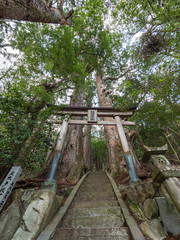 Tsugizakura Oji shrine ,Japan