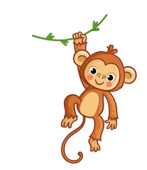 Fototapete Affe Affe, der an der Liane hängt. Vektor-Illustration. Süßes Tier.