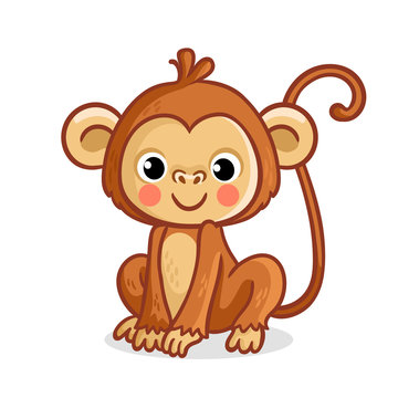 Monkey on a white background. Vector illustration