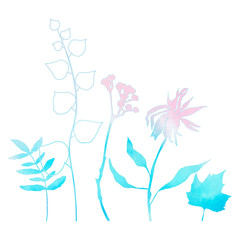 different hand drawn leaves, wild flowers and plants with watercolor texture in light pink and blue on white background