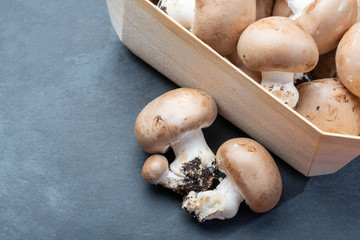 Fresh organic brown chestnut champignons from underground caves in Belgium