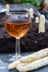 New harvest of  white asparagus vegetable in spring season and glas rose wine, white heads of asparagus growing up from the ground on farm