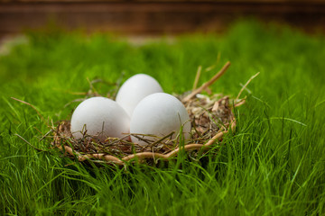 Three white Easter eggs on the lawn in the green grass