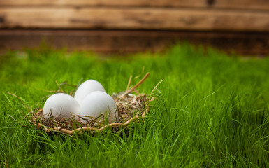 Three white Easter eggs on the lawn in the green grass
