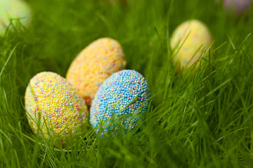 Colored Easter eggs on the lawn in the green grass