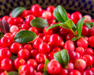 Background with cowberry. Vaccinium vitis-idaea (lingonberry, partridgeberry). Berry leaves. view from above. Collected cranberries.