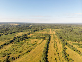 View of the summer forest from the drone