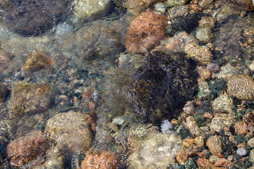 Water in the mountain raging river. Beautiful natural background of stones and water. Texture of clear water and fast river. Background to insert text. Tourism and travel.