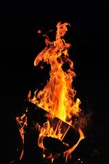 Fototapeta na wymiar A beautiful flame of a burning fire with wood on a black background. Close-up
