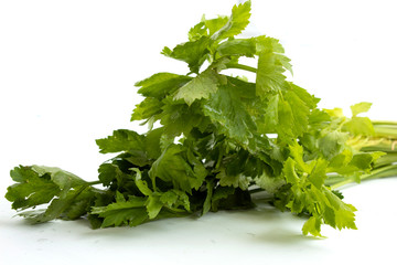 fresh celery isolated on white background