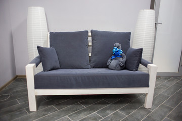Gray soft sofa bench with pillows and a toy in an interior